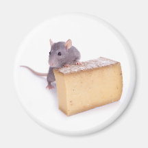 Ratte mit Käse Kühlschrankmagnet