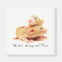 Ratten-Liebhaber immer und für immer Kühlschrankmagnet