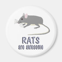 Ratten sind fantastisch magnete