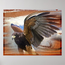 Raubvogel Posterdruck