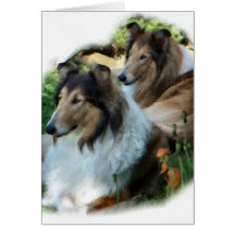 Raue Collie-Kunst-Geschenke Karte