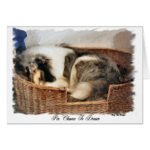 Raue Collie-Kunst-Geschenke Karte