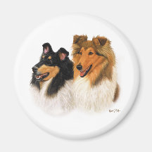 Rauer Collie Magnete