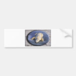 RAUM-BÄR III AUTO STICKER