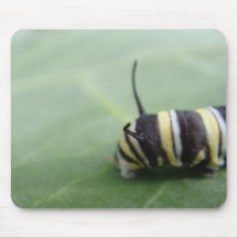 Raupe Mousepad