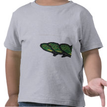 Raupe Shirts