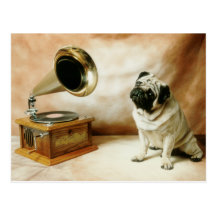 Rca-Mops-Hund Postkarten