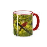 Red Cardinal Bird in Tree Mug by Lois Bryan