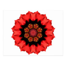 Red Flower Pizazz! Postcards