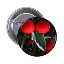 Red Hot Chilli Pepper Pins