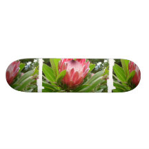 Red Protea Skate Board