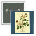 Redoute Druck: 'Bengal-Rose Hymanee Button