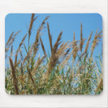 Reedgras auf einem See Mousepads