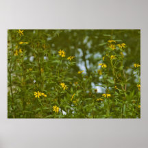 Reflektierende Natur Posterdrucke