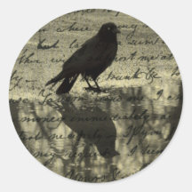 Reflexion der Krähe Sticker
