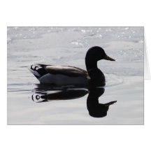 Reflexionen Grußkarten