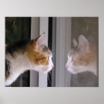 Reflexionen Poster