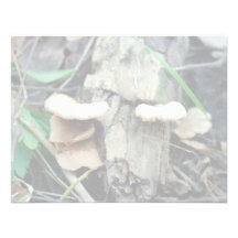 Regal-Pilz Einladungskarten