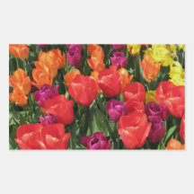 Regenbogen der Tulpen Rechtecksticker
