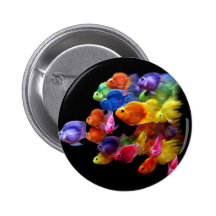 Regenbogen des Papageienfisches Anstecknadelbuttons