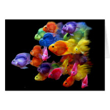 Regenbogen des Papageienfisches Karten