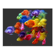 Regenbogen des Papageienfisches Postkarten