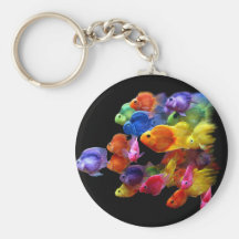 Regenbogen des Papageienfisches Schlüsselbänder