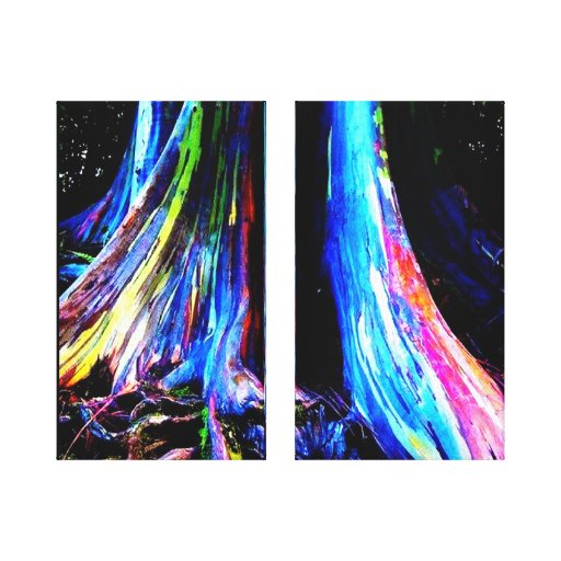 REGENBOGEN-EUKALYPTUS-BAUM-Leinwand Gespannte Galeriedrucke | Zazzle