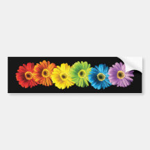 Regenbogen-Gänseblümchen Autoaufkleber