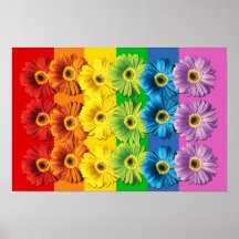 Regenbogen-Gänseblümchen Posterdruck