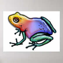 Regenbogen-Gift-Pfeil-Frosch Plakate