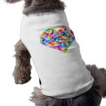 Regenbogen-HerzConfetti Haustierkleidung