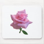 Regentropfen auf rosa Rose mousepad