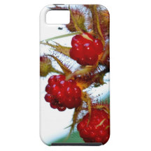 Reife Himbeeren iPhone 5 Etuis