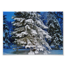 Reihen photographischen des Druckes des Schnee-7x5