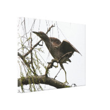 Reiher ausgedehnter Druck Galerie Gefaltete Leinwand