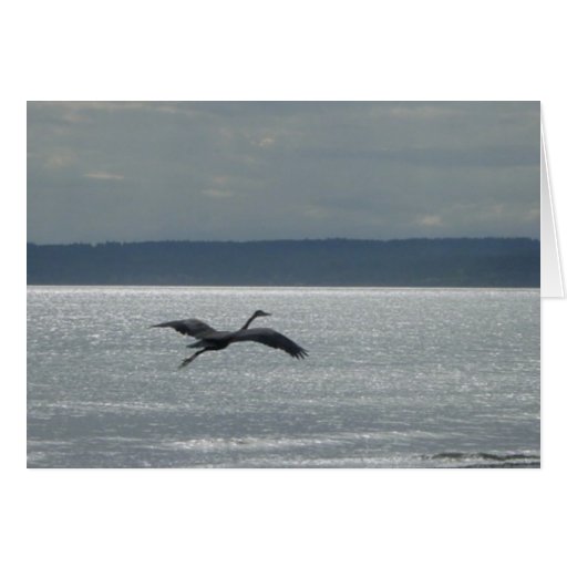 Reiher im Flug Grußkarten