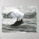 Reiher-Strudel - Kunst-Foto-Druck Posterdruck