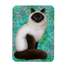 Reinrassiger Ragdoll Birman Katze Flexi Magnet