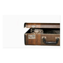 Reisende Katzen-Visitenkarte