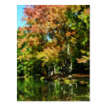 Reizende Herbst-Reflexionen Postkarten