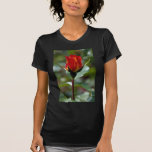 Reizendes Floribunda 'Charisma T-shirts