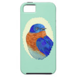 Retro Art-Miniatur-Drossel Iphone Fall iPhone 5 Etuis