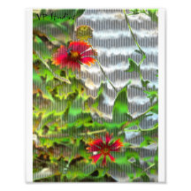 retro Blumen Foto