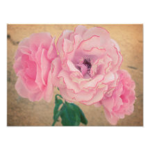 Retro Rosen 3 Kunstfotos