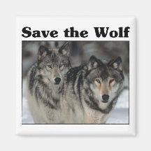 Retten Sie den Wolf Magnete