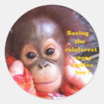 Retten Sie die Orang-Utans und den Regenwald Runde Sticker