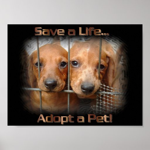 Retten Sie ein Leben adoptieren ein Haustierplakat
