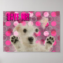 Retten Sie mir Hunde Plakat