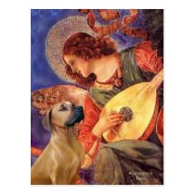Rhodesian Ridgeback 2 - Mandolinen-Engel Postkarten